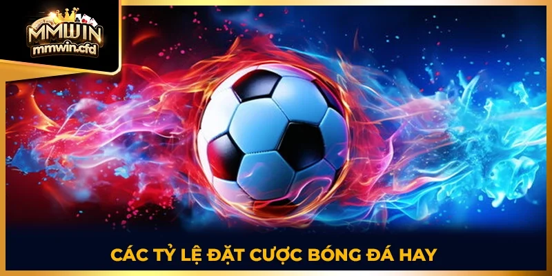 Các tỷ lệ đặt cược bóng đá hay