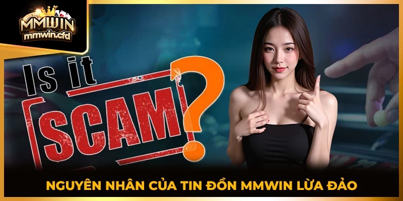 Nguyên nhân của tin đồn MMWIN lừa đảo