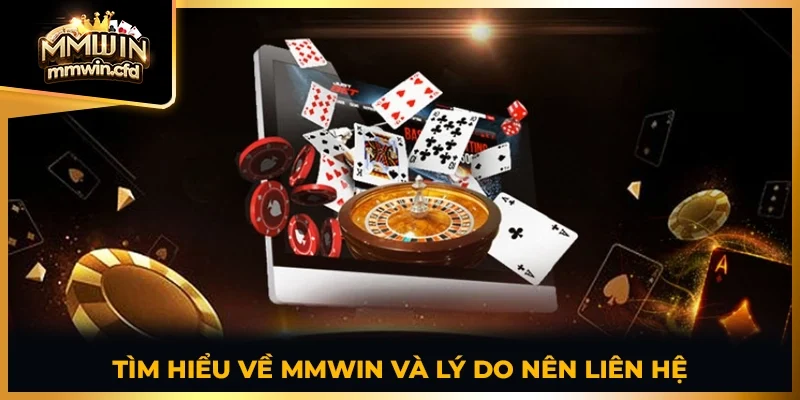 Tìm hiểu về MMWIN và lý do nên liên hệ